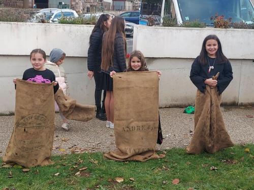 253555179 893025931346979 2025047855155549348 n